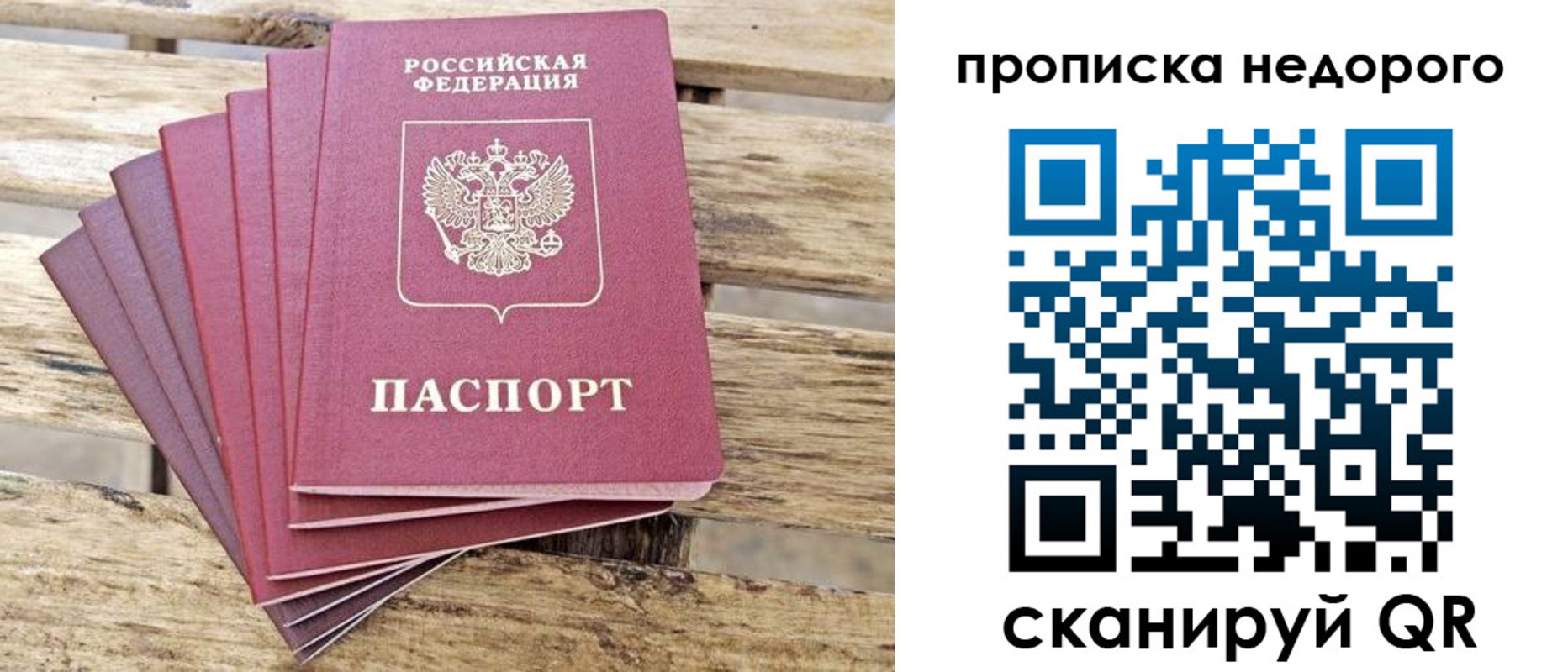 прописка ребенка в Мурино